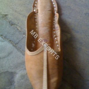 Fancy Indian Slipper